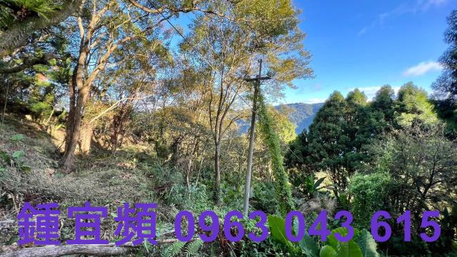 橫山農地-14