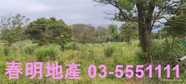新竹農地-11
