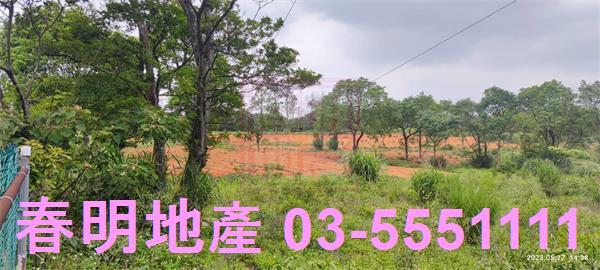 新竹農地-6
