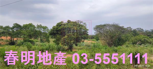 新竹農地-8