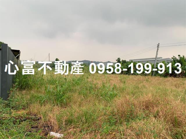 高雄仁武農地-1