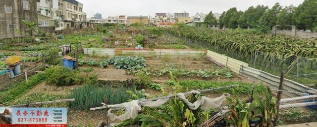 苗栗市農地-1