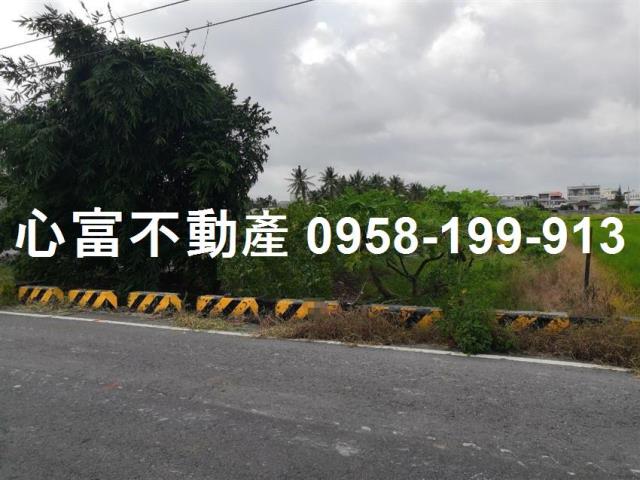 阿蓮農地-1