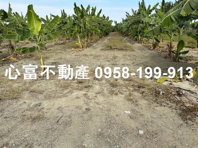高雄農地-1