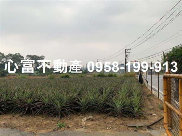 仁武農地-1