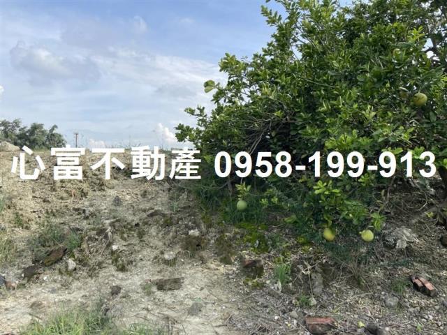 高雄農地-1
