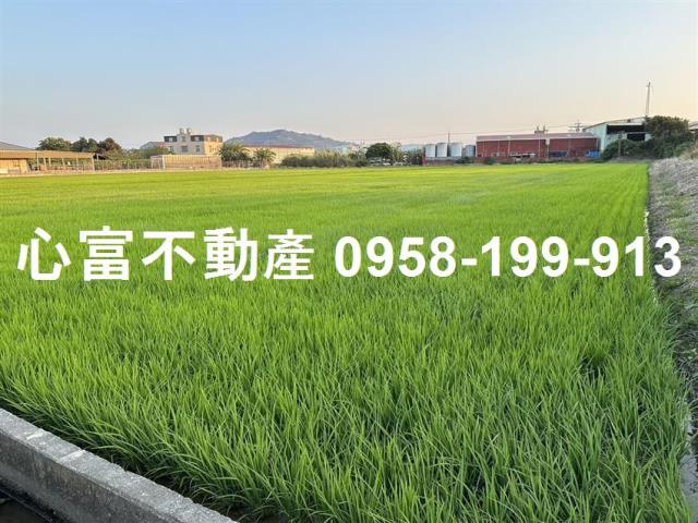 高雄農地-1