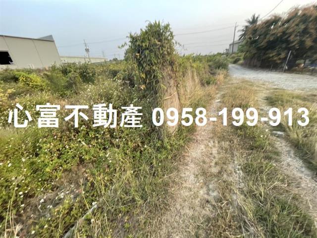 高雄燕巢農地-1