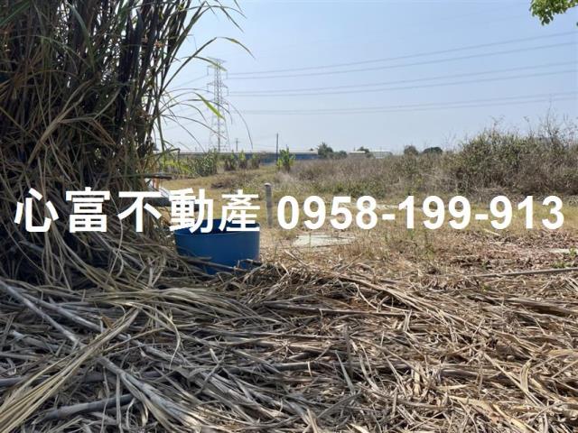 高雄路竹農地-2