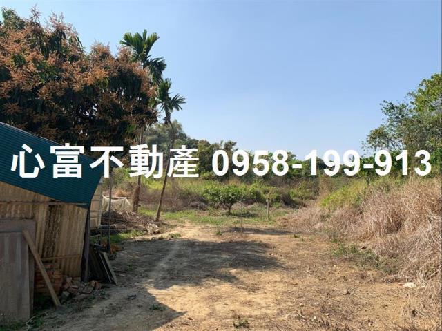 高雄仁武農地-1