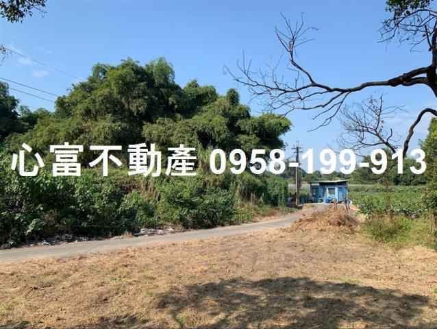 高雄大社農地-1