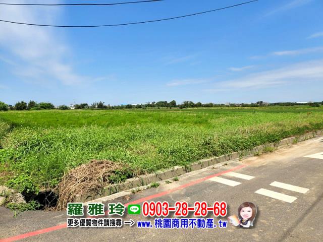 桃園觀音農地-10