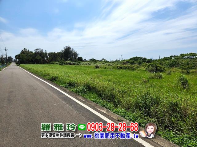 桃園觀音農地-11