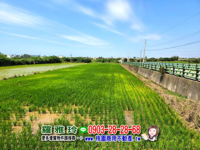 桃園觀音農地-12