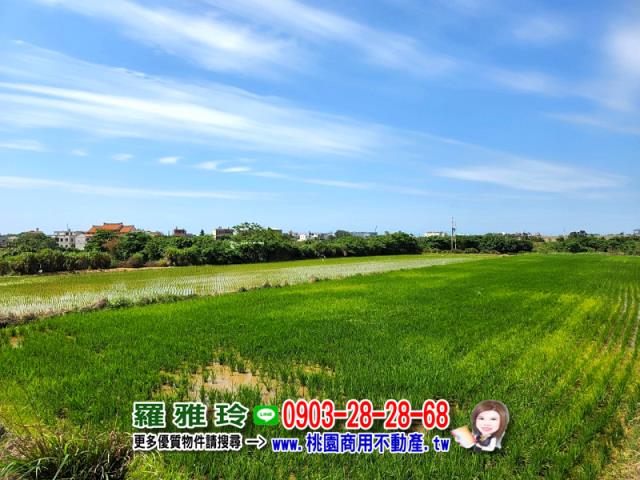 桃園觀音農地-13