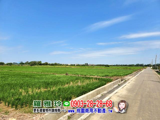 桃園觀音農地-7