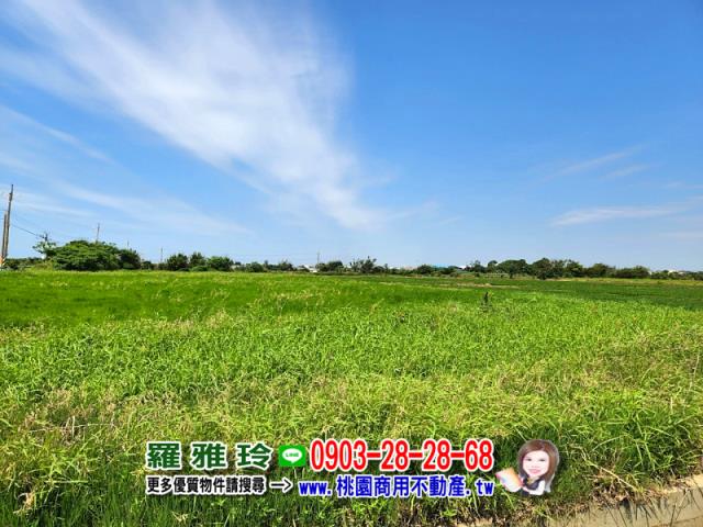 桃園觀音農地-8