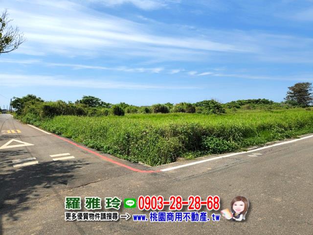 桃園觀音農地-9