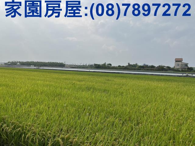 屏東萬丹農地-3