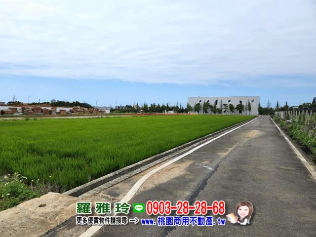 新屋農地-3