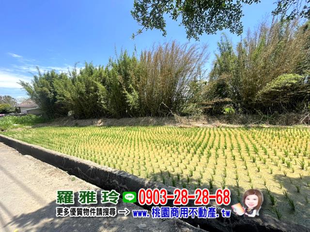 楊梅農地-2