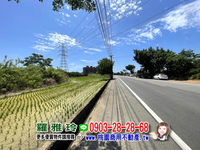 楊梅農地-4