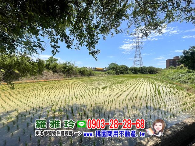楊梅農地-5