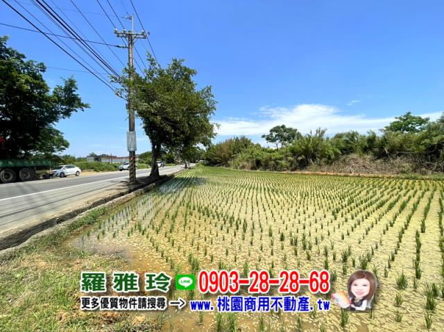 楊梅農地-6