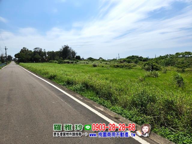 觀音農地-11