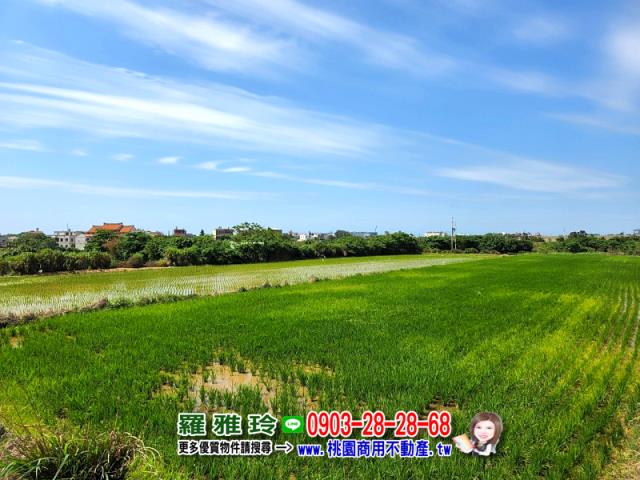 觀音農地-13