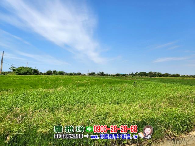 觀音農地-8