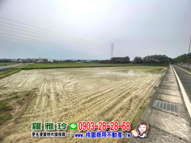 楊梅農地-4