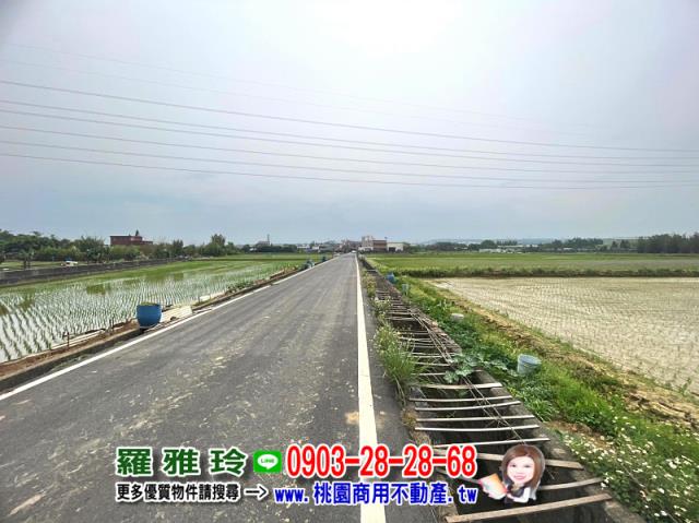楊梅農地-5