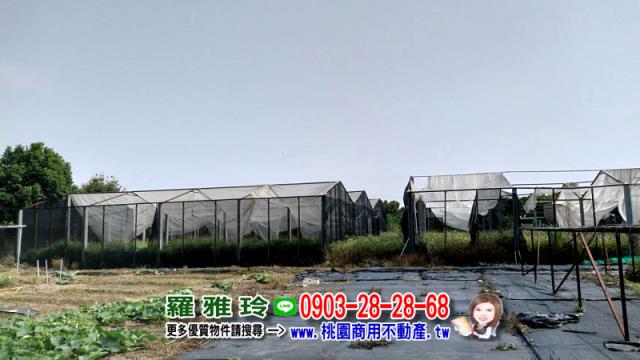 桃園農地-4