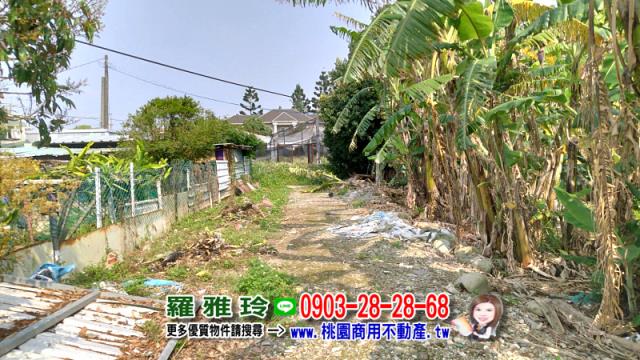 桃園農地-5