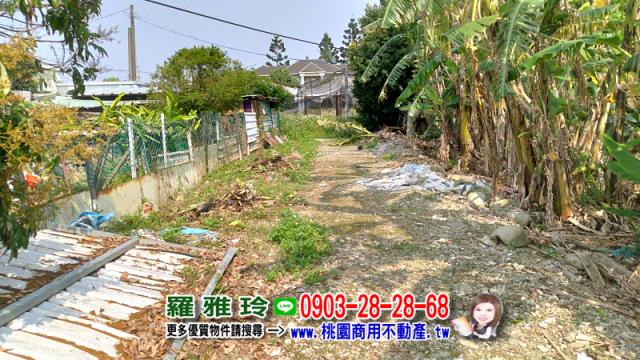 桃園農地-6