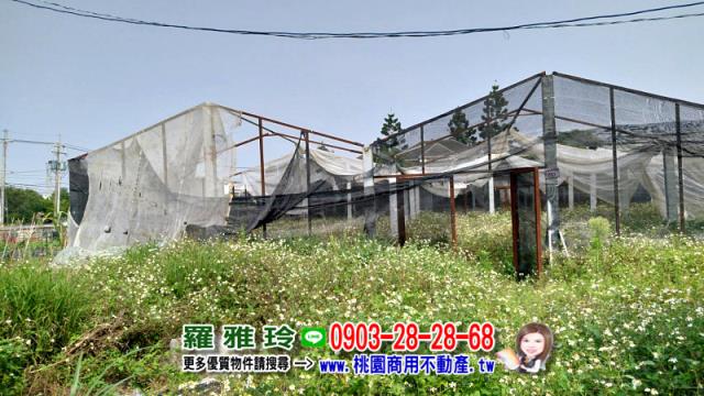 桃園農地-7