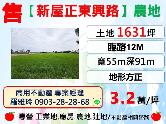 桃園農地-1