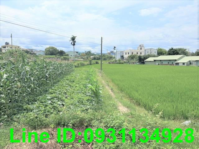 台中農地-1