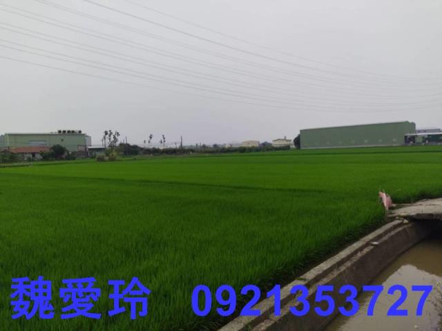彰化芬園農地-5