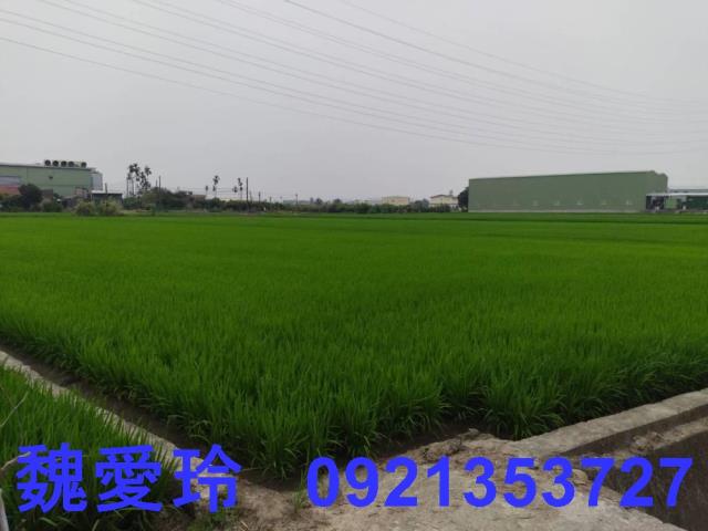 彰化芬園農地-6