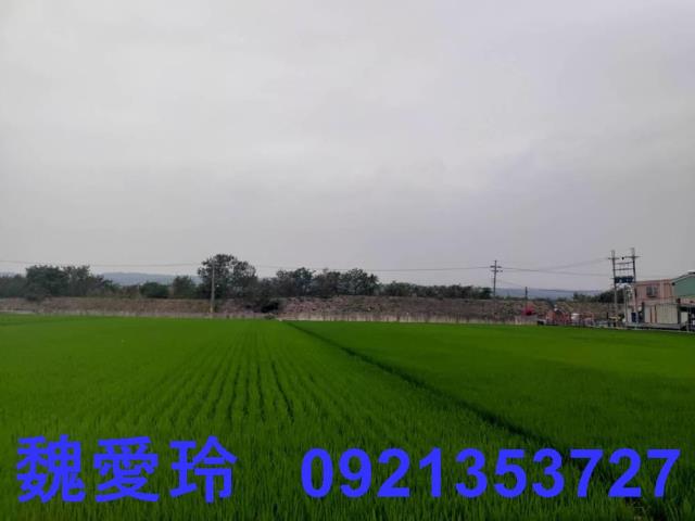 彰化芬園農地-7