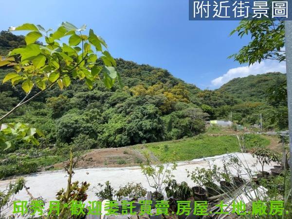 新北淡水農地-3