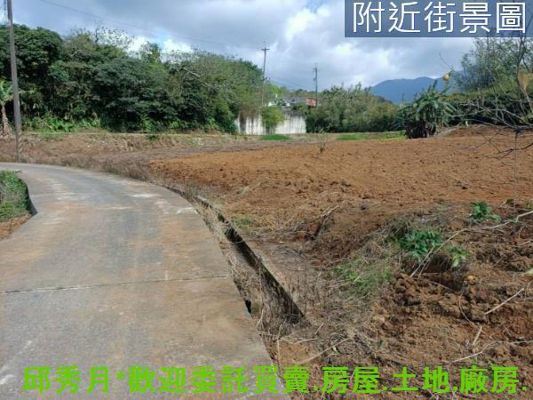 新北淡水農地-11