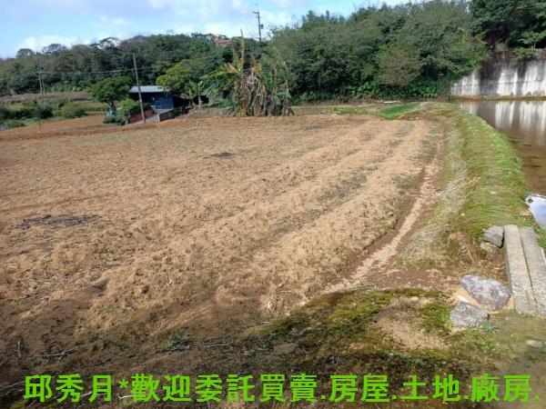 新北淡水農地-2