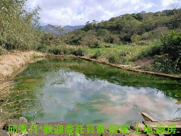 新北淡水農地-7