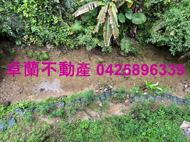 卓蘭山坡地-7