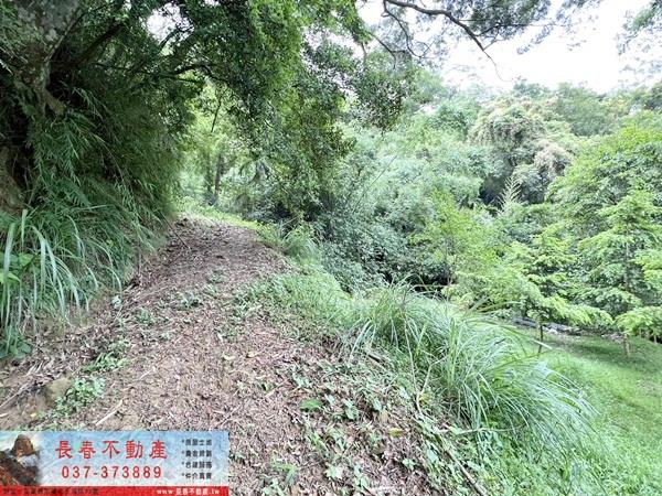 苗栗公館林地-11