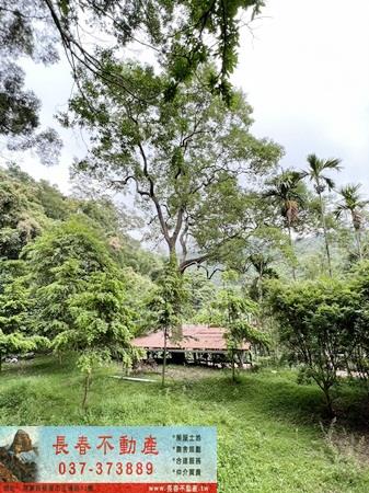 苗栗公館林地-1