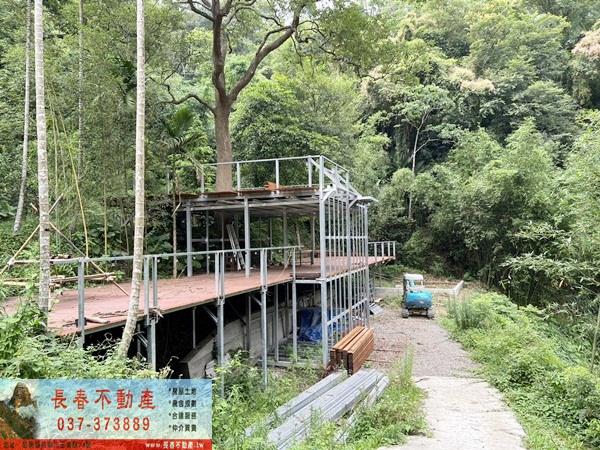 苗栗公館林地-2
